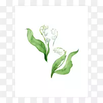 开花植物绿茎叶花-空若网 开花植物绿茎叶花-空若网