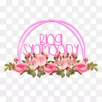 花卉设计切花花束-空若网 花卉设计切花花束-空若网