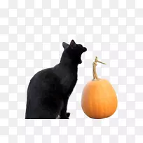 ����è����è-������