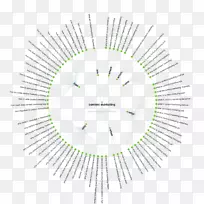 ֱ�߽���-������