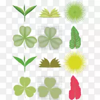 ������ɫ����ֲ��-Ҷ-������