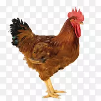 �Ĵ����Ǽ����⼦��������ֳҵ��ǧ����-õ��ɫ-������