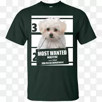 t恤连帽衫上衣t恤-空若网 t恤连帽衫上衣t恤-空若网