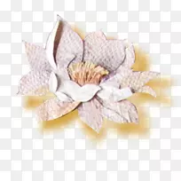 Adobe插画-陶瓷莲花-空若网 Adobe插画-陶瓷莲花-空若网