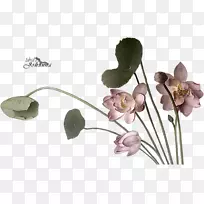 水墨画翻译PlayStationpng墨水莲花-空若网 水墨画翻译PlayStationpng墨水莲花-空若网