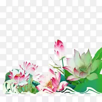 叶水生植物-墨莲花-空若网 叶水生植物-墨莲花-空若网