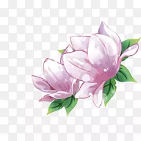 花型紫色手绘紫色莲花-空若网 花型紫色手绘紫色莲花-空若网