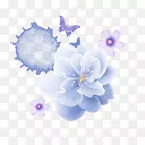 下载nelumbo nucifera-蓝莲花-空若网 下载nelumbo nucifera-蓝莲花-空若网