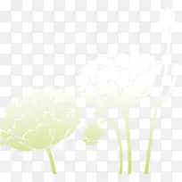 ���꿪��ֲ�ﾥ���Ա�ֽ��ͨ������-������