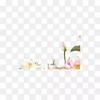 ��ʽ����-������