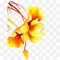 汤圆黄花金黄莲花-空若网 汤圆黄花金黄莲花-空若网