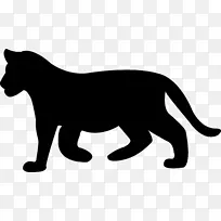 澳洲牧羊犬边境牧羊犬-空若网 澳洲牧羊犬边境牧羊犬-空若网