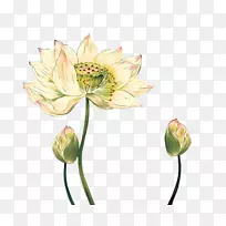 莲花水彩画水墨画画手绘莲花-空若网 莲花水彩画水墨画画手绘莲花-空若网