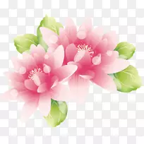 粉红花壁纸画莲花-空若网 粉红花壁纸画莲花-空若网