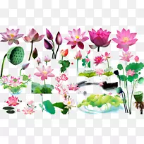 莲花经典材料-空若网 莲花经典材料-空若网