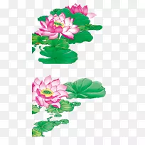 设计师-莲花图片-空若网 设计师-莲花图片-空若网