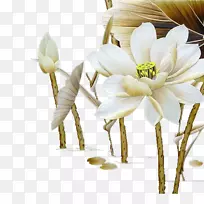 ��������-����-������