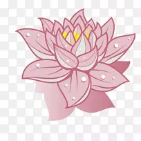 野莲花画插花艺术-粉红莲花-空若网 野莲花画插花艺术-粉红莲花-空若网