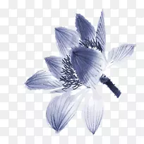 手绘莲花-空若网 手绘莲花-空若网