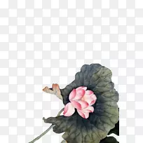 ˮ�ٺ�ˮ�ʻ���������ˮ�ʻ�����-������