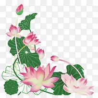 图-手彩色莲花(Nelumbo nucifera)-空若网 图-手彩色莲花(Nelumbo nucifera)-空若网