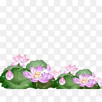 画框剪贴画.手绘莲花-空若网 画框剪贴画.手绘莲花-空若网
