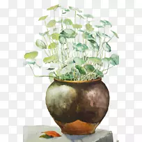 水彩画插画艺术插图-莲花-空若网 水彩画插画艺术插图-莲花-空若网