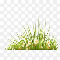 ÂÌÉ«²Ý±¾¼ôÌù».ÂÌÉ«ºÍÐÂÏʲݻ¨×°ÊÎͼ°¸-¿ÕÈôÍø ÂÌÉ«²Ý±¾¼ôÌù».ÂÌÉ«ºÍÐÂÏʲݻ¨×°ÊÎͼ°¸-¿ÕÈôÍø