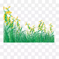 花卉草坪剪贴画-卡通春花鲜草-空若网 花卉草坪剪贴画-卡通春花鲜草-空若网