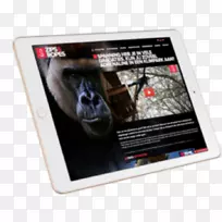 �����ɵ��Ӳ�Ʒ��ý�庣��-������-������