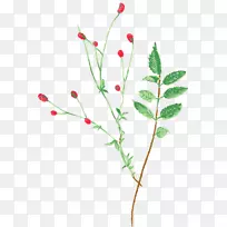 �ٺϺ����-������