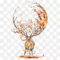 ¹ˮ�ʻ���ͼ-��¹-������