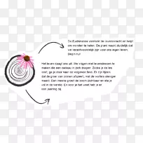 花身首饰.设计-空若网 花身首饰.设计-空若网