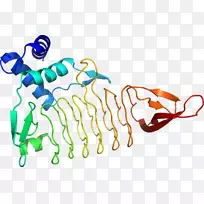 ���������л����߼�������-������