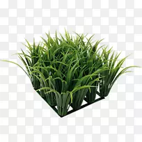 纳米水族馆养鱼取暖器-鱼-空若网 纳米水族馆养鱼取暖器-鱼-空若网