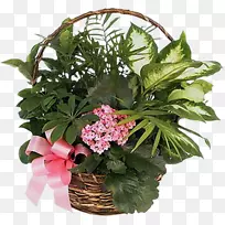 �л�����ֲ��õ�廨-������