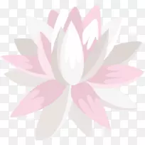 花瓣开花植物.手绘白雪莲-空若网 花瓣开花植物.手绘白雪莲-空若网