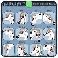 ���������Ȯ���˶����弼��.����-������