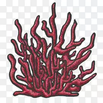 无脊椎树字体-珊瑚礁绘图-空若网 无脊椎树字体-珊瑚礁绘图-空若网