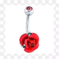 耳环体珠宝魅力和吊坠宝石珠宝首饰-空若网 耳环体珠宝魅力和吊坠宝石珠宝首饰-空若网