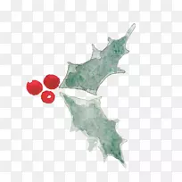 山地草甸牧场夏令营叶开花植物GoPro亲本叶-空若网 山地草甸牧场夏令营叶开花植物GoPro亲本叶-空若网