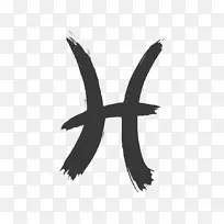 ˫������֢����˫����-������