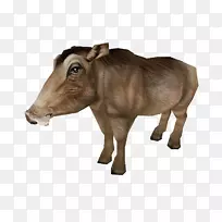 牛动物野生动物园大亨2-空若网 牛动物野生动物园大亨2-空若网