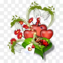 昆虫瓢虫甲虫博客心松-昆虫-空若网 昆虫瓢虫甲虫博客心松-昆虫-空若网