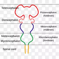 �Ըɽ���ͼ��ϵͳ-��-������