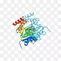 �ߵ������-��-������