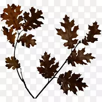 ¶¯»·ç¼ôÌù»¶¯»-¿ÕÈôÍø ¶¯»·ç¼ôÌù»¶¯»-¿ÕÈôÍø