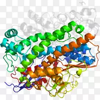 ���������鱦�л����߼�������-������