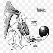 草图设计-空若网 草图设计-空若网