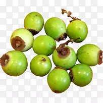 天运食品有限公司周二聚无花果蔬菜水果-空若网 天运食品有限公司周二聚无花果蔬菜水果-空若网